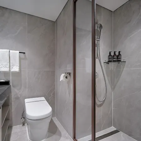Hotel The Botanik Sewoon Myeongdong Seoul Exterior photo
