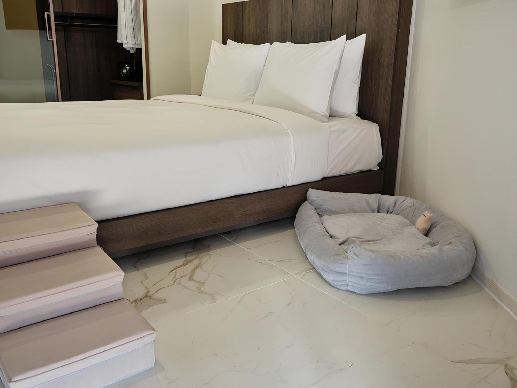 ホテル The Botanik Sewoon Myeongdong 4*