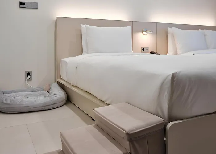 Hotel The Botanik Sewoon Myeongdong