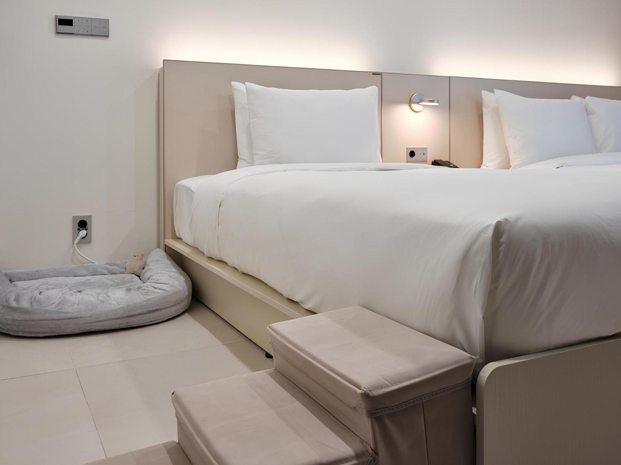 The Botanik Sewoon Myeongdong Hotel